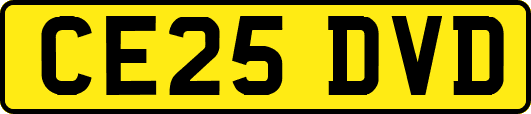 CE25DVD