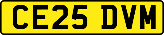 CE25DVM