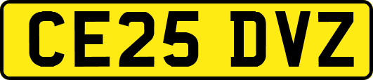 CE25DVZ