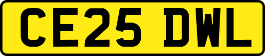 CE25DWL