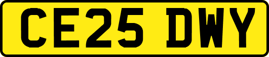 CE25DWY