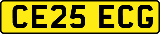 CE25ECG