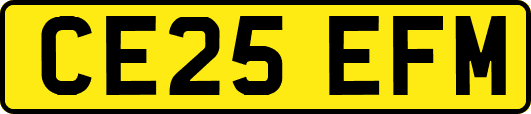 CE25EFM