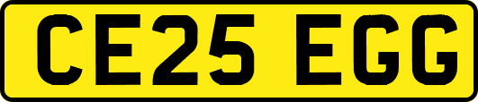CE25EGG