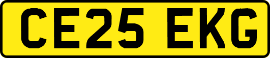 CE25EKG