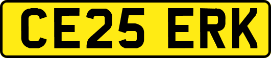 CE25ERK