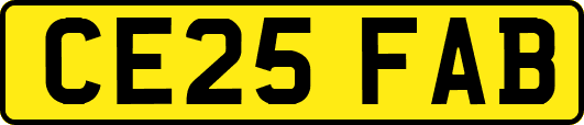 CE25FAB