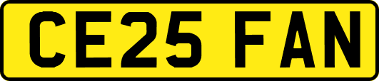 CE25FAN