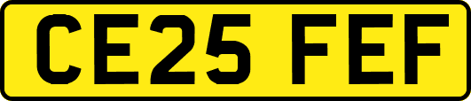 CE25FEF