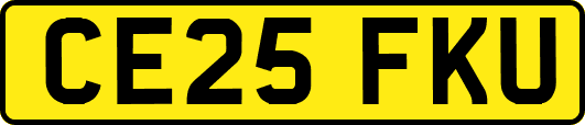 CE25FKU