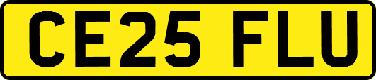 CE25FLU