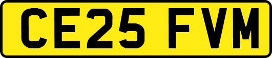CE25FVM