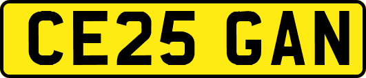 CE25GAN