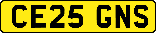 CE25GNS