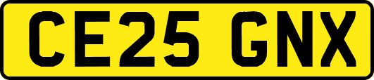 CE25GNX