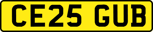 CE25GUB