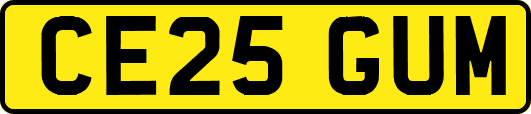 CE25GUM