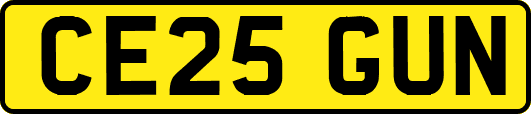 CE25GUN
