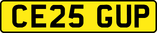 CE25GUP