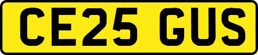 CE25GUS