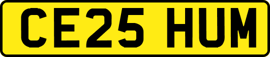 CE25HUM