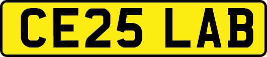 CE25LAB