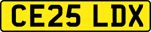 CE25LDX