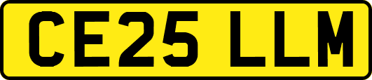 CE25LLM
