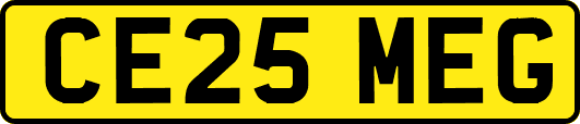CE25MEG
