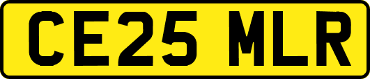 CE25MLR