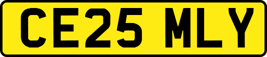 CE25MLY