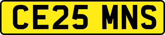 CE25MNS