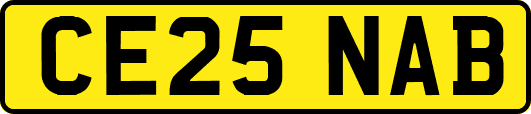 CE25NAB