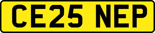 CE25NEP
