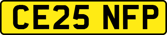 CE25NFP