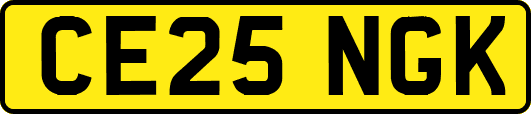 CE25NGK
