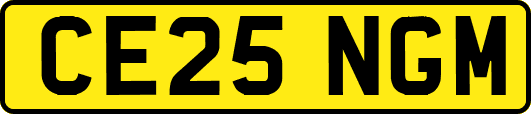 CE25NGM