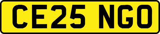 CE25NGO