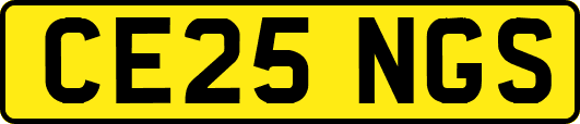 CE25NGS