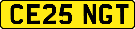 CE25NGT