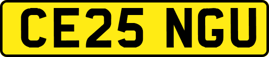 CE25NGU
