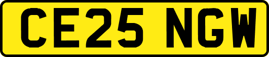 CE25NGW