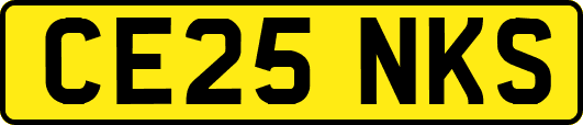 CE25NKS