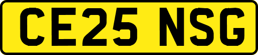 CE25NSG