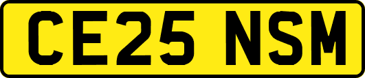CE25NSM