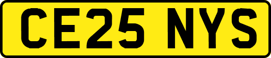 CE25NYS