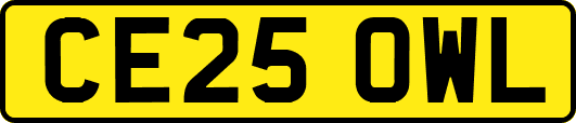 CE25OWL