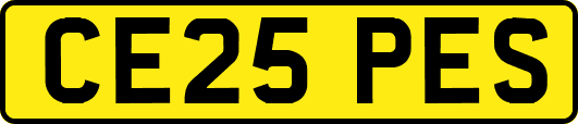 CE25PES