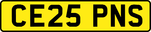 CE25PNS