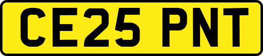 CE25PNT